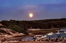 Le Neptune - Foto 56