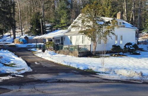 Panther Mountain Lodge - Photo 17