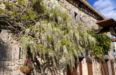 Le Plantier 1 - Foto 24