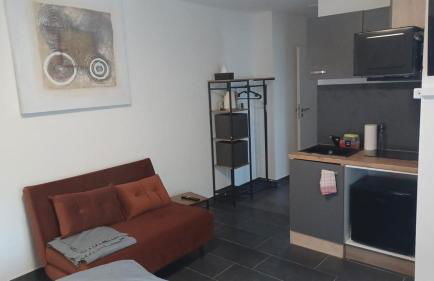 Einzelappartement im Neubau mit Kochnische nähe Legoland - Foto 1