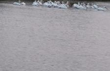 Waterfront Studio - Foto 9