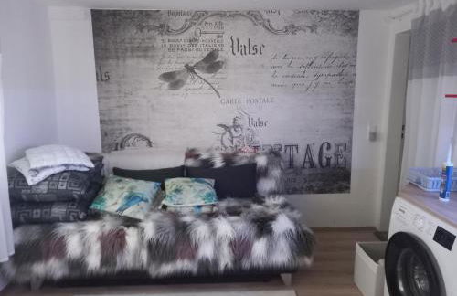 Orchidee 2 - Photo 6