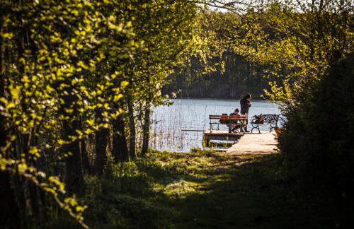 Saunowisko w Krągu - domy Niebieski i Żółty - Foto 31