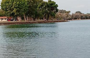 Afroditi Country Residence - Photo 58