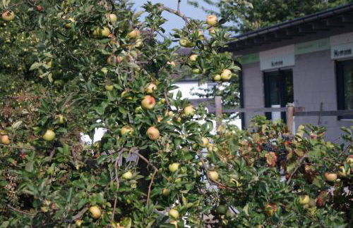 Ferienhaus am Apfelbaum - Foto 30