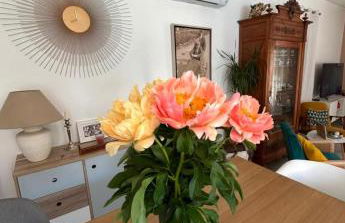 La Villa Azul - Foto 39