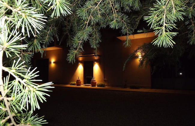 Tenuta i Lecci di Gurian Roberta Maura - Photo 106