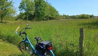 Ferienwohnung Ostseeclick - Foto 3
