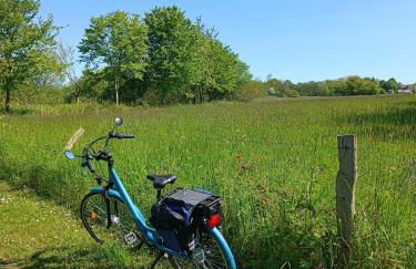 Ferienwohnung Ostseeclick - Foto 31