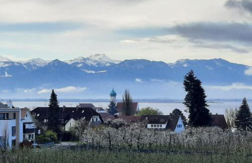 Obst- Und Ferienhof Marschall - Foto 15