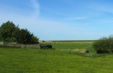 Ferienhaus Große Gaarde - Photo 34