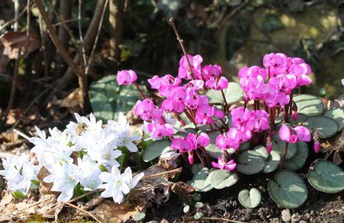 Maison Mille Fleurs - Foto 32