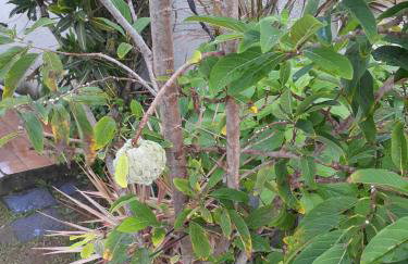 Itaúna saquarema beach house - Foto 22