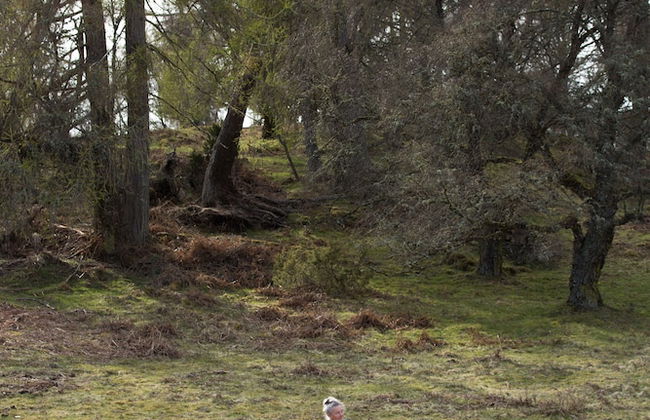 2-bed Cottage With Hot Tub at Loch Achilty, Nc500 - Foto 27