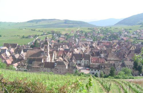 La Maison Vigneronne - Photo 19