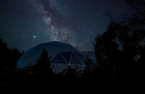 The Hummingbird at Zen Zion - Photo 53