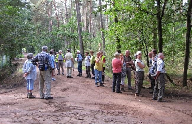 Chalet in Antwerp Near Bobbejaanland Park - Foto 22