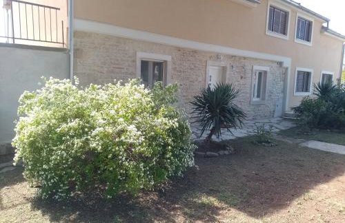 Studio apartman MALA OAZA - Photo 6
