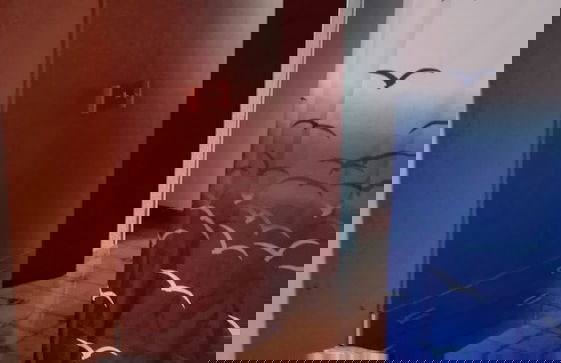 Apartamentos Guardamar del Segura - Foto 20