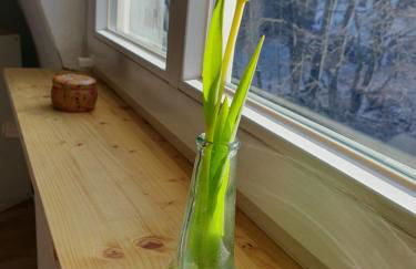 Altbau Wohnung Gersfeld AusZeit am Küppel - Foto 29