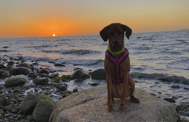 Bella Casa Baabe - Photo 15