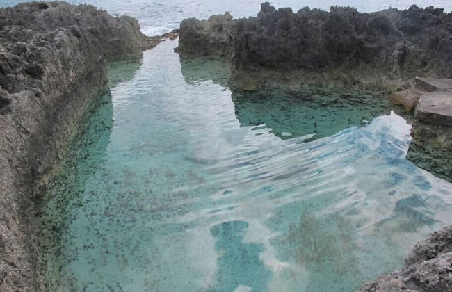 Fabulous one Bedroom in West Bay - Photo 15