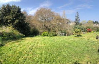 Ty Kellen - Photo 33