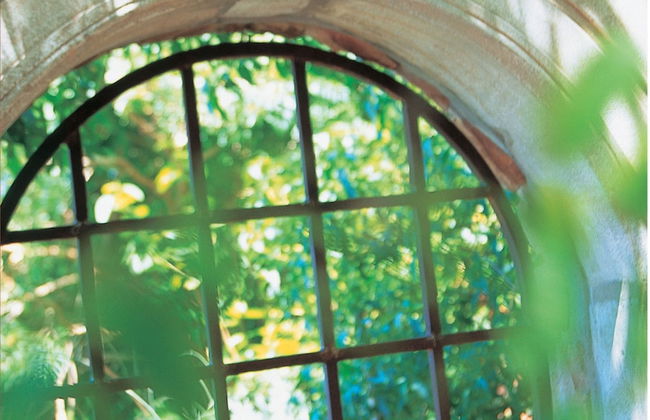 Colona Castle - Foto 78