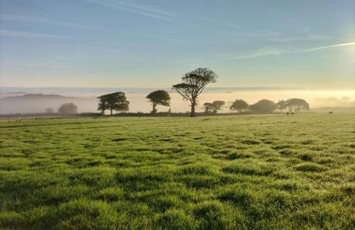 Green Park - Photo 11