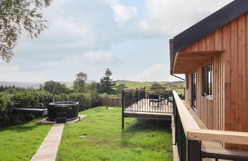 Mynydd Y Glyn Lodge - Foto 27