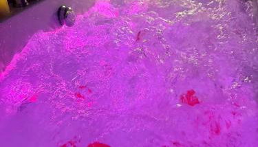 Duplex Safari jusqu'à 4 personnes, Spa, cinéma et lit sous les arbres, day use, 10 min centre - Foto 5