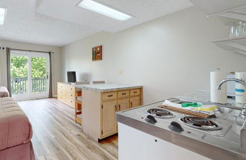 Relaxing Studio Sleeps 4 Near Golf & Douglas Lake - Foto 8