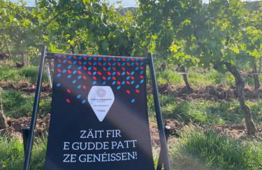 DreiländerOase - Foto 24