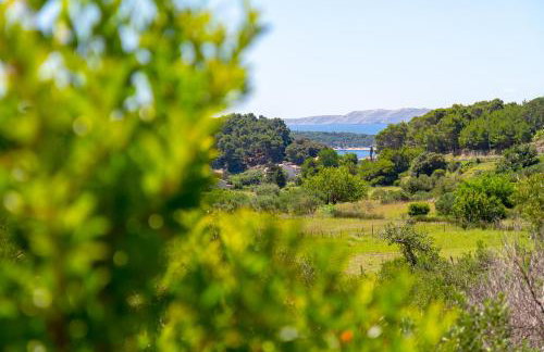 Apartments & Rooms Sanja - Foto 23