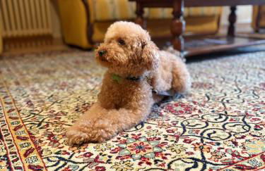 Apartamentos Cal Ratero - Foto 28