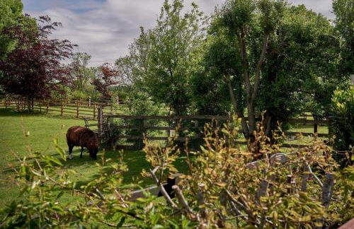 The Luxury Barn - Foto 39