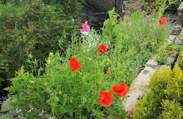 Riverside Cottage at Logwood Mill - Foto 76