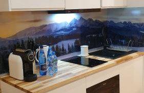 Villa Fortuna - Regionalne apartamenty & SPA - Sauna, Grill, Jacuzzi z widokiem na Tatry - Foto 18