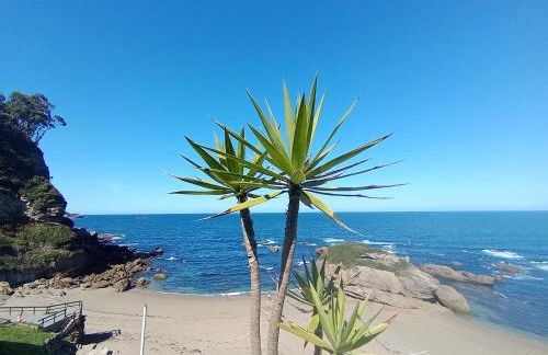 Pura vida Estaño - Foto 18