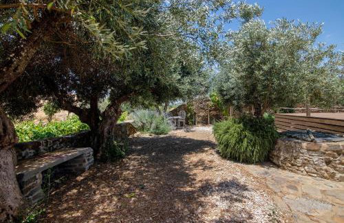 Recanto d'Aldeia - Foto 8