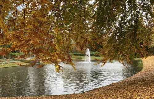 Ferienwohnung Weitblick - Photo 34