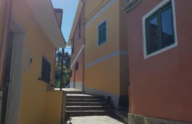 Menta Cinque Terre - Foto 27