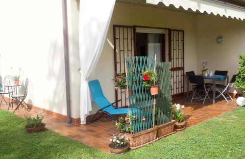 Prato Verde - Girasole - Foto 33