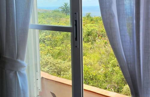 Live in Tacoronte, Casa Tagoro - Foto 12