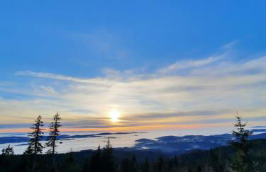 Appartement 13 im Haus Dreisessel - Foto 43