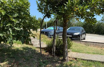 Apartment Burin - Foto 22