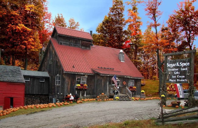 Forest Mountain Escape: Beautiful Mountaintop Escape In Mendon, Vt. 20 Min To Killington/14 To Pico. 4 Bedroom Home - Foto 43