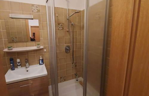 Selb Ferienwohnungen - Foto 13