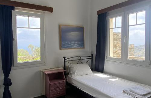 Andros Vineyard house with sea view - Foto 9