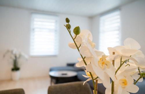 Evin's Apartment - Foto 22